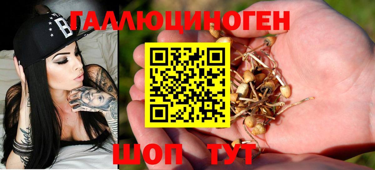 Красноярск  Псилоцибиновые грибы мухоморы  Вход с VPN 